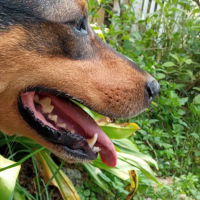 Photo de profil de Touvé