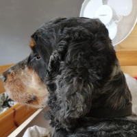 Photo de profil de Marty 