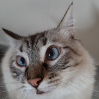 Photo de profil de Prince