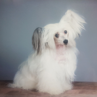 Photo de profil de Eros