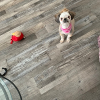 Photo de profil de Mimi