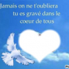 Photo de Kalim Oiseau