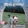 Photo de Rameau