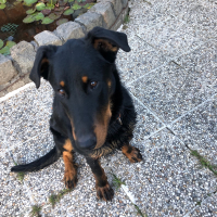 Photo de profil de Thor