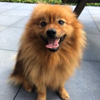 Photo de profil de Olaf 