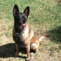 Photo de profil de Maya