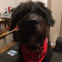 Photo de profil de Ragnar