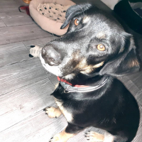 Photo de profil de Odin