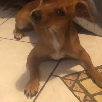 Photo de profil de Pirate