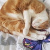 Photo de Lilou