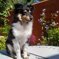 Photo de profil de Rumba