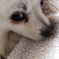 Photo de profil de Prince