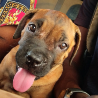 Photo de profil de Chylachi