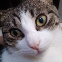 Photo de profil de Wilson