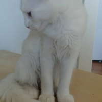 Photo de profil de Ria