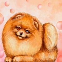 Photo de profil de Rose