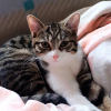 Photo de Khaleesi