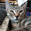 Photo de Néo