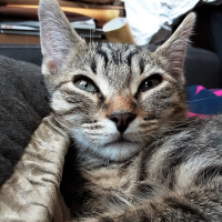Photo de profil de Néo