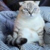 Photo de Olympe 