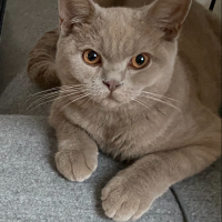 Photo de profil de Gabin