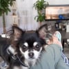 Photo de Luna, Chihuahua