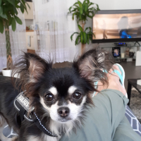 Photo de profil de Luna