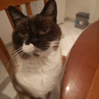 Photo de profil de Venus