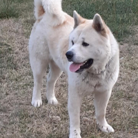 Photo de profil de Zeep 