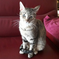 Photo de profil de PUSSY