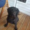 Photo de Mira