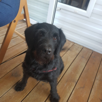 Photo de profil de Mira
