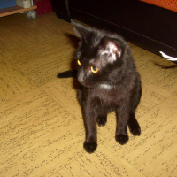 Photo de profil de Devon