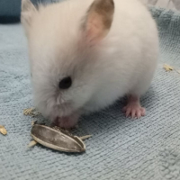 Photo de profil de teffert