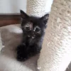 Photo de Nala