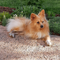 Photo de profil de Filou