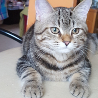 Photo de profil de Picasso