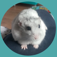 Photo de profil de POP CORN