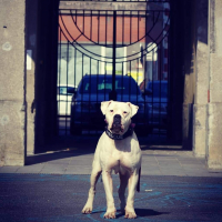 Photo de profil de DeeDee