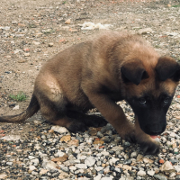 Photo de profil de Kaiser