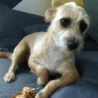 Photo de profil de CANNELLE