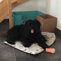 Photo de profil de Marley