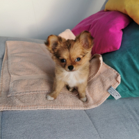 Photo de profil de Ruby