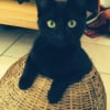 Photo de Gitana