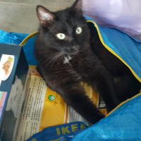 Photo de profil de Blacky