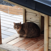 Photo de profil de Gaufrette
