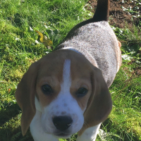 Photo de profil de Roky 