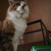 Photo de Mimi