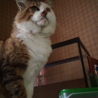 Photo de profil de Mimi