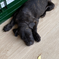 Photo de profil de GBOHIN